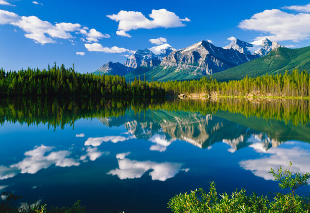 Auf dieser Reise nach Westkanada erleben Sie die schönsten Nationalparks und das Wildlife Kanadas