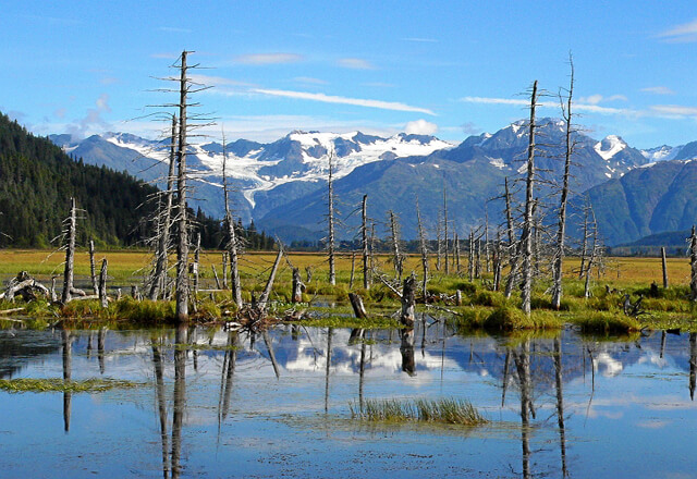 Landschaft in Alaska
