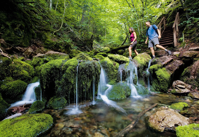 Nationalpark New Brunswick in Ostkanada