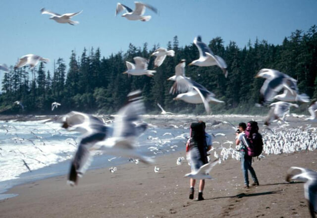 Küste in British Columbia