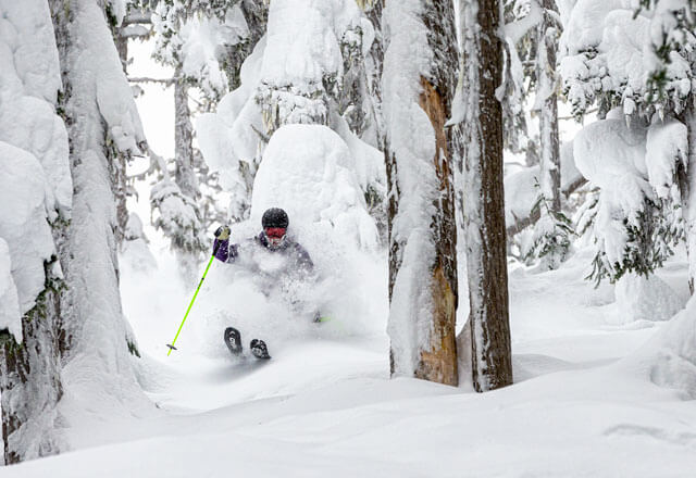 Deep Powder Whistler