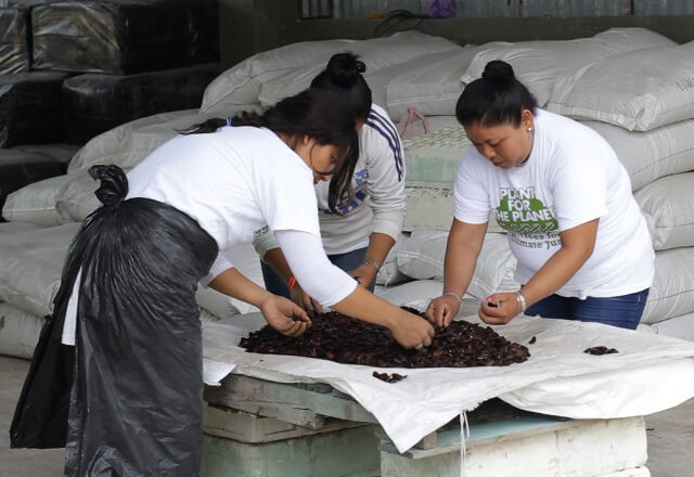 Frauen bei Plant for the Planet