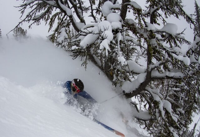 Skisafari_Skifahren