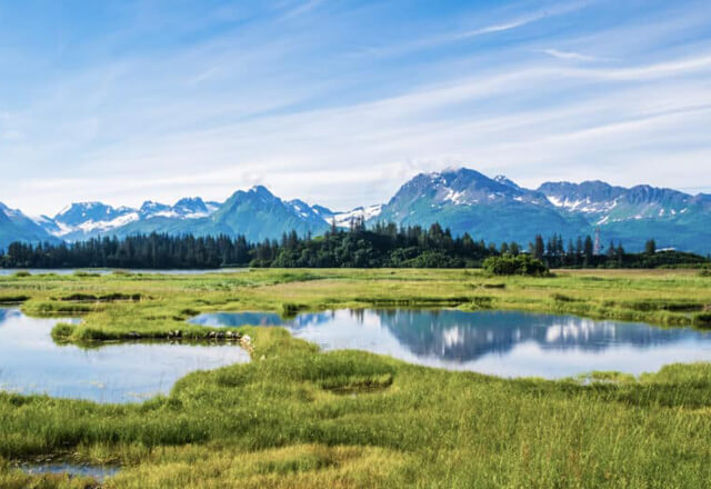 This photo was shot in Valdez Alaska in the summer of 2018.